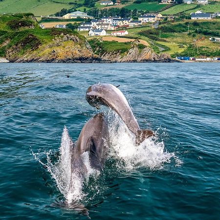 Realt Na Mara Villa Killybegs Exteriör bild